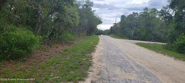 0.55 Acres of Residential Land for Sale in Ridge Manor, Florida