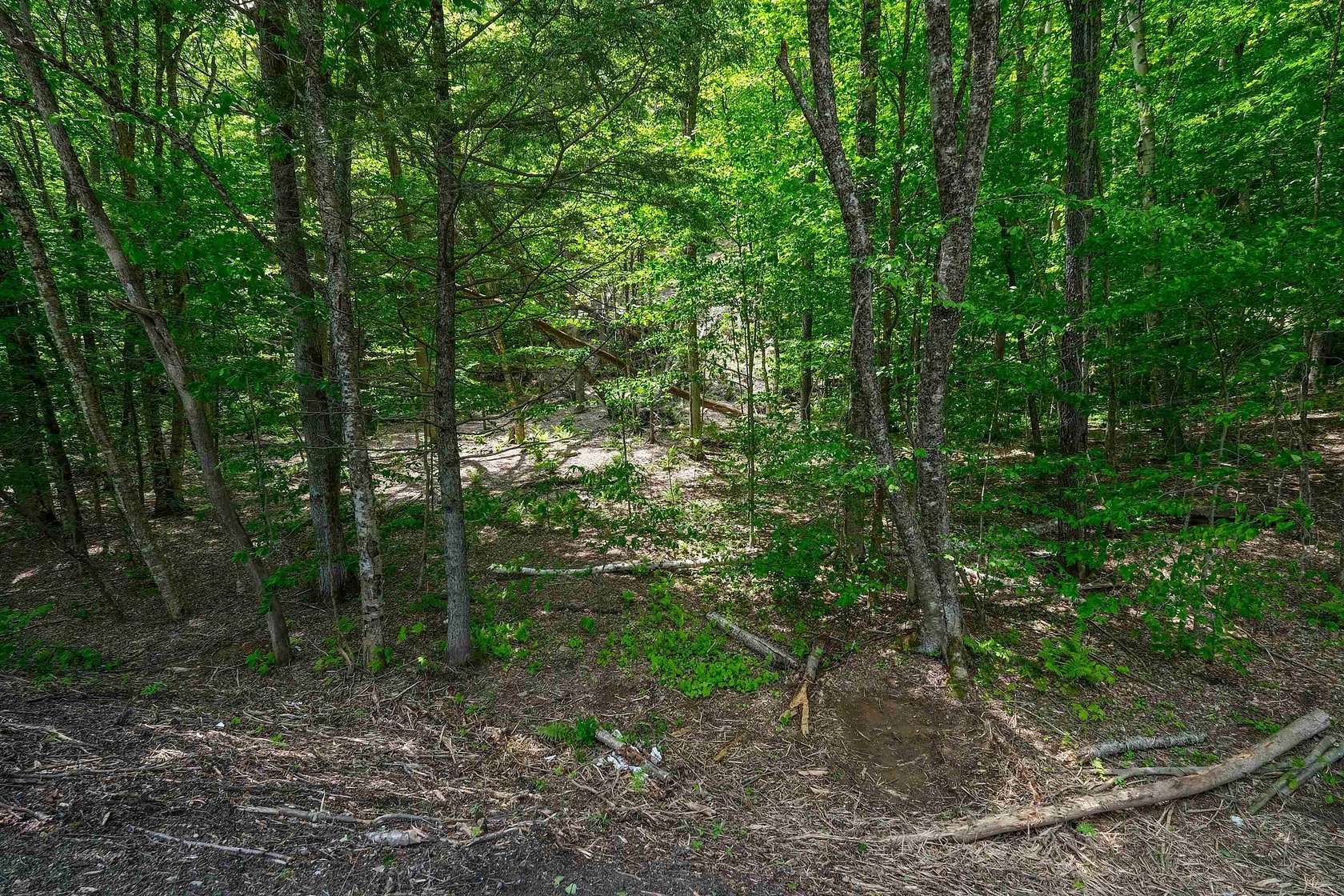 1 Acre of Residential Land for Sale in Plymouth, Vermont