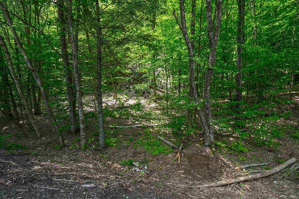 1 Acre of Residential Land for Sale in Plymouth, Vermont