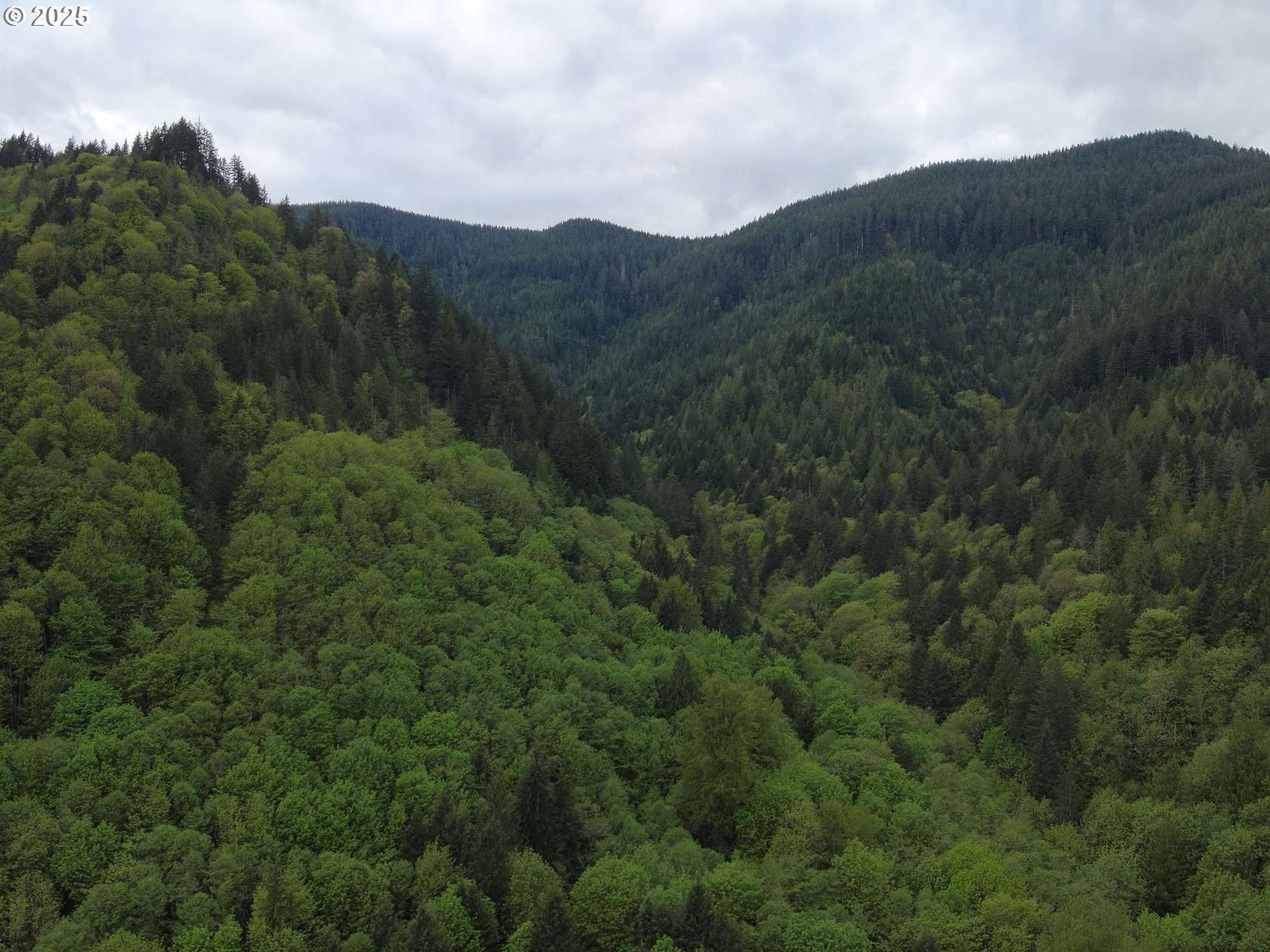 72.4 Acres of Recreational Land for Sale in Welches, Oregon