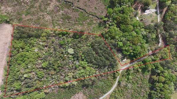 11.5 Acres of Land for Sale in Bowman, South Carolina