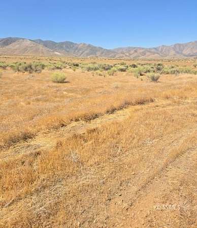 20.2 Acres of Land for Sale in Weldon, California