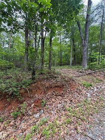 1 Acre of Residential Land for Sale in Dahlonega, Georgia