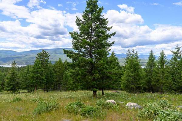 5.27 Acres of Residential Land for Sale in Rexford, Montana