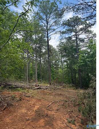 10.5 Acres of Land for Sale in Gadsden, Alabama