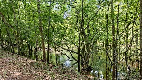 159 Acres of Land for Sale in Rusk, Texas