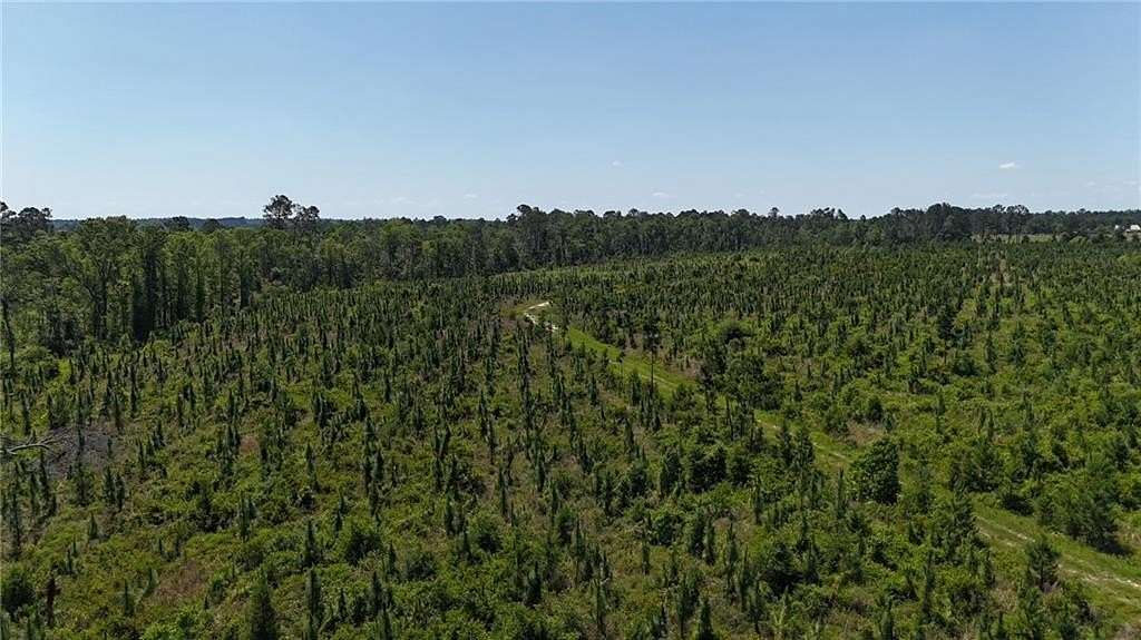 61.6 Acres of Recreational Land for Sale in Vidalia, Georgia