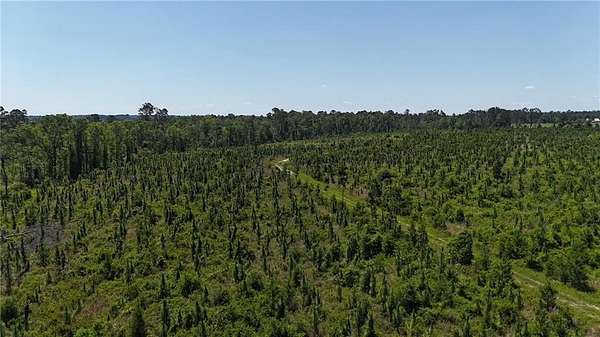 61.6 Acres of Recreational Land for Sale in Vidalia, Georgia