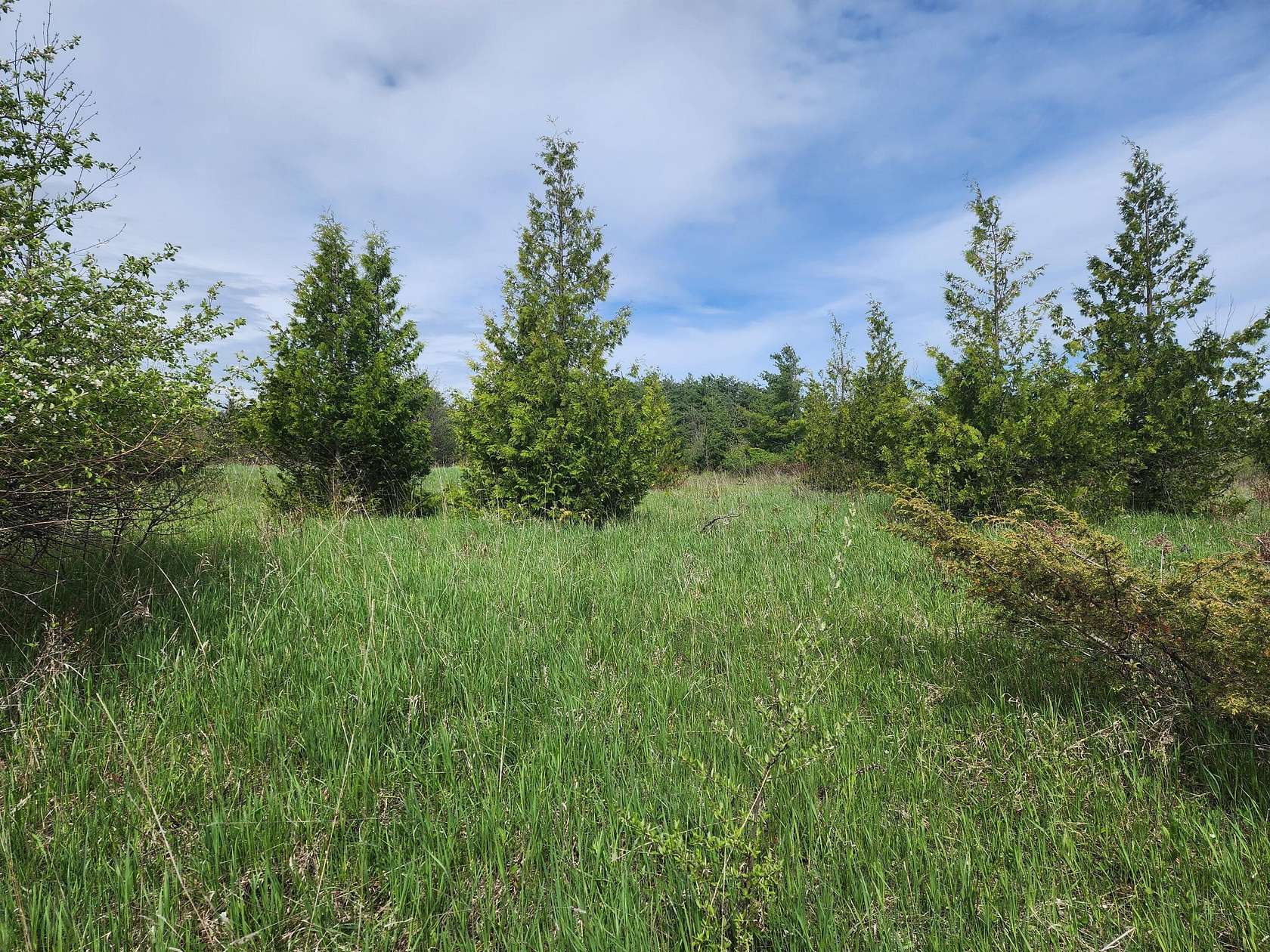 8.2 Acres of Land for Sale in Cheboygan, Michigan