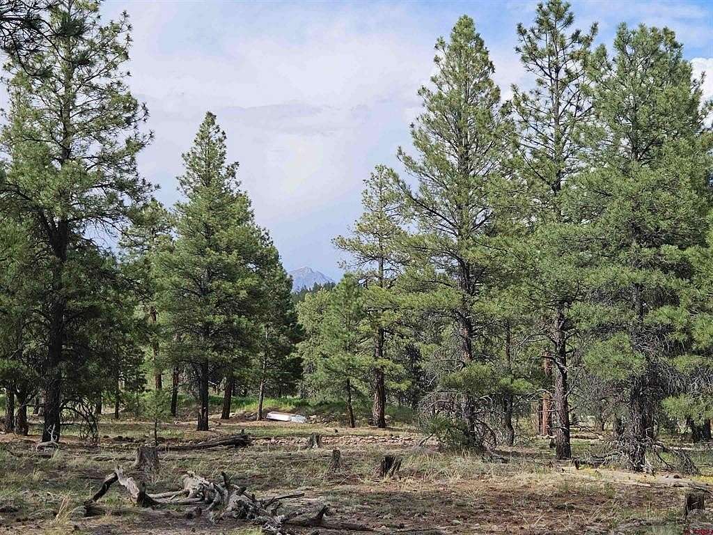 3.63 Acres of Residential Land for Sale in Pagosa Springs, Colorado