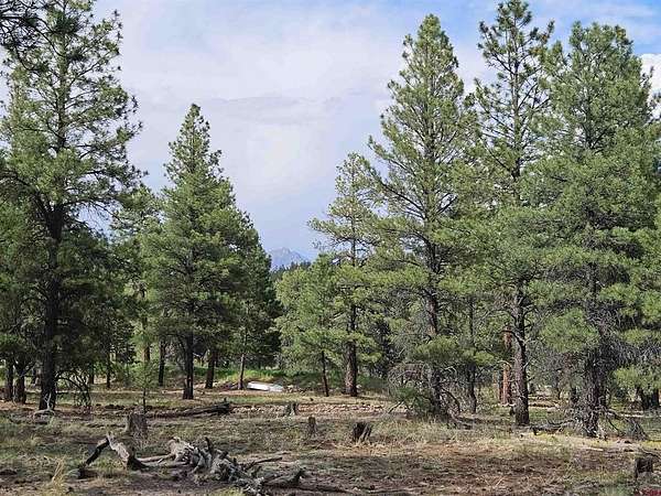 3.63 Acres of Residential Land for Sale in Pagosa Springs, Colorado