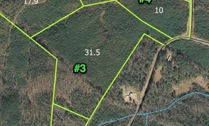 31.5 Acres of Land for Sale in Candor, North Carolina