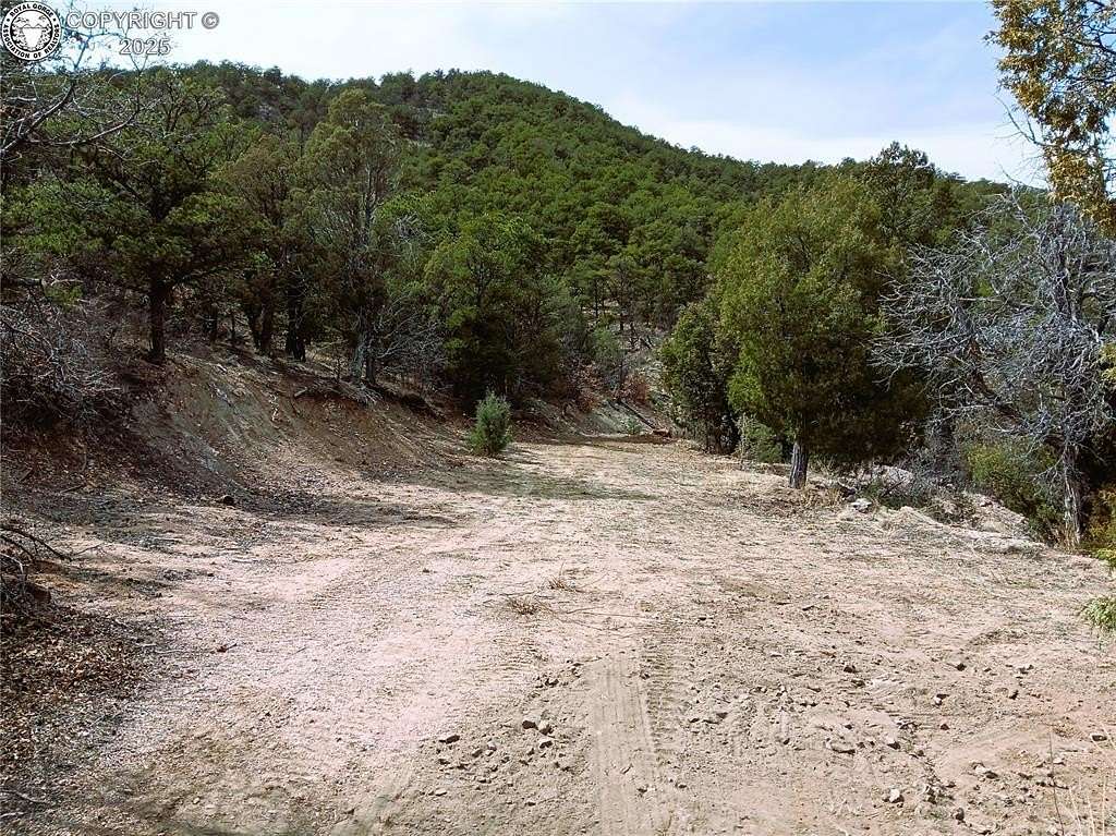 35.6 Acres of Recreational Land for Sale in Cotopaxi, Colorado