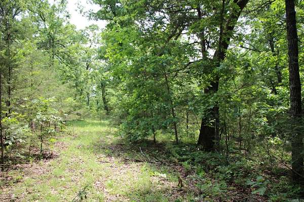 9.26 Acres of Land for Sale in Flippin, Arkansas
