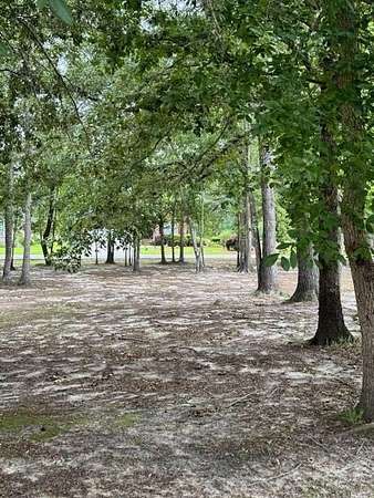 0.19 Acres of Residential Land for Sale in Manning, South Carolina