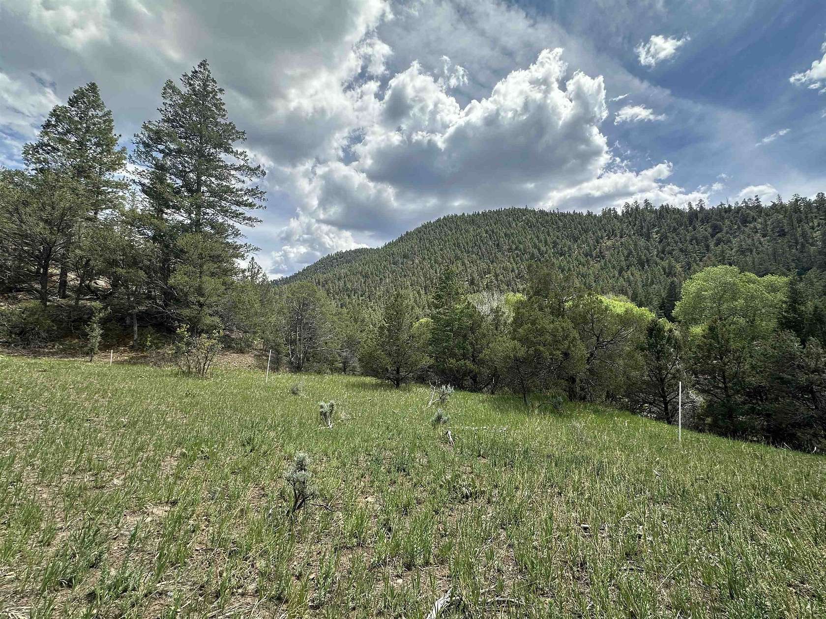 3.85 Acres of Land for Sale in Taos, New Mexico