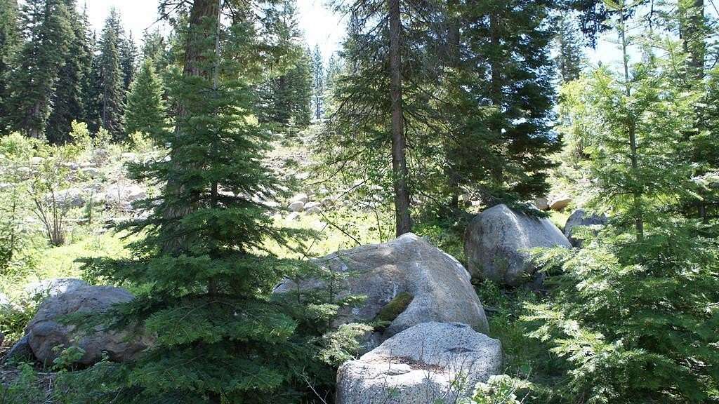 0.48 Acres of Land for Sale in McCall, Idaho