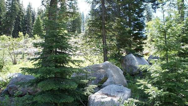 0.48 Acres of Land for Sale in McCall, Idaho