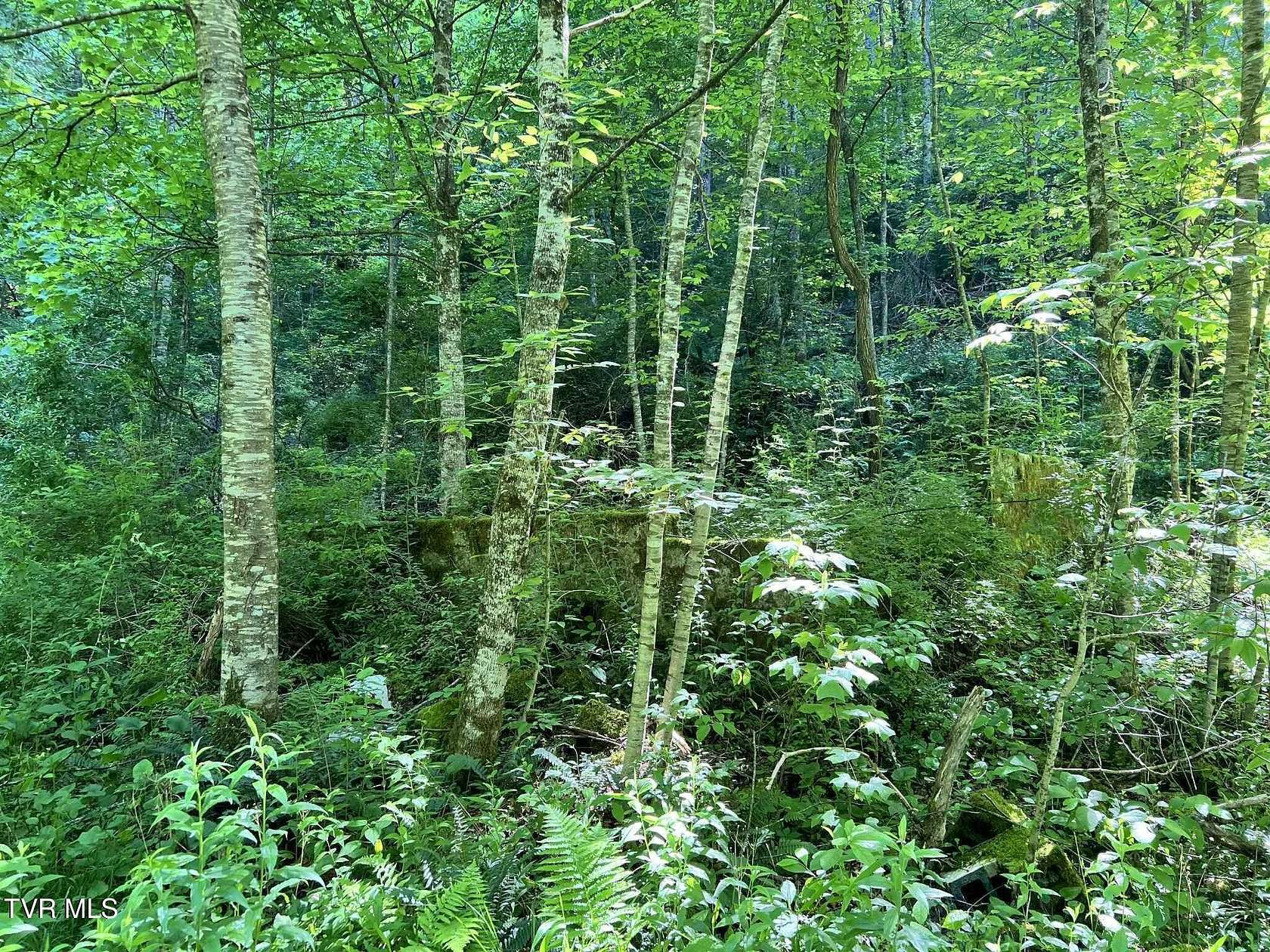 15 Acres of Recreational Land for Sale in Norton, Virginia