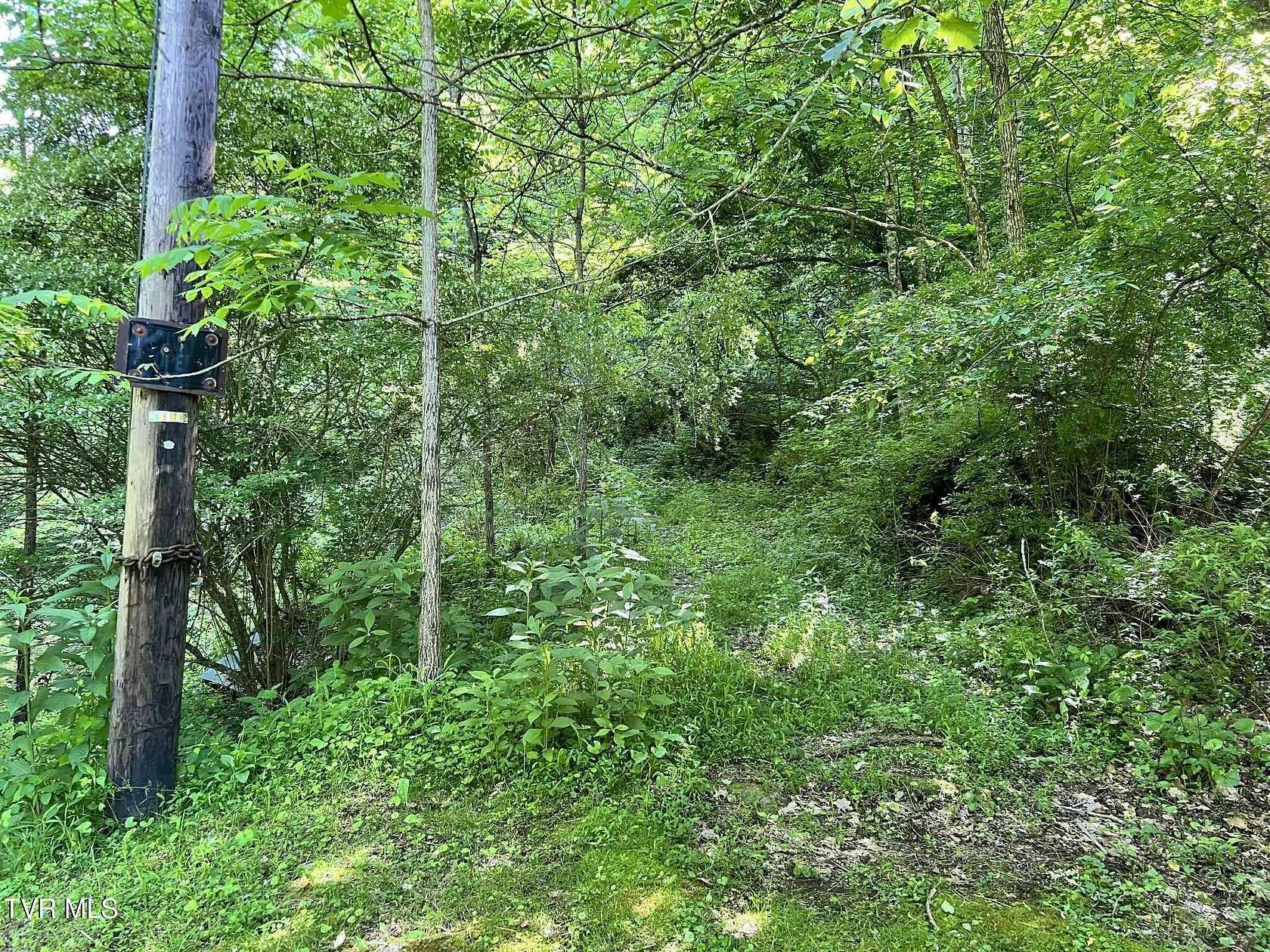 15 Acres of Recreational Land for Sale in Norton, Virginia