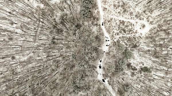 15 Acres of Recreational Land for Sale in Norton, Virginia