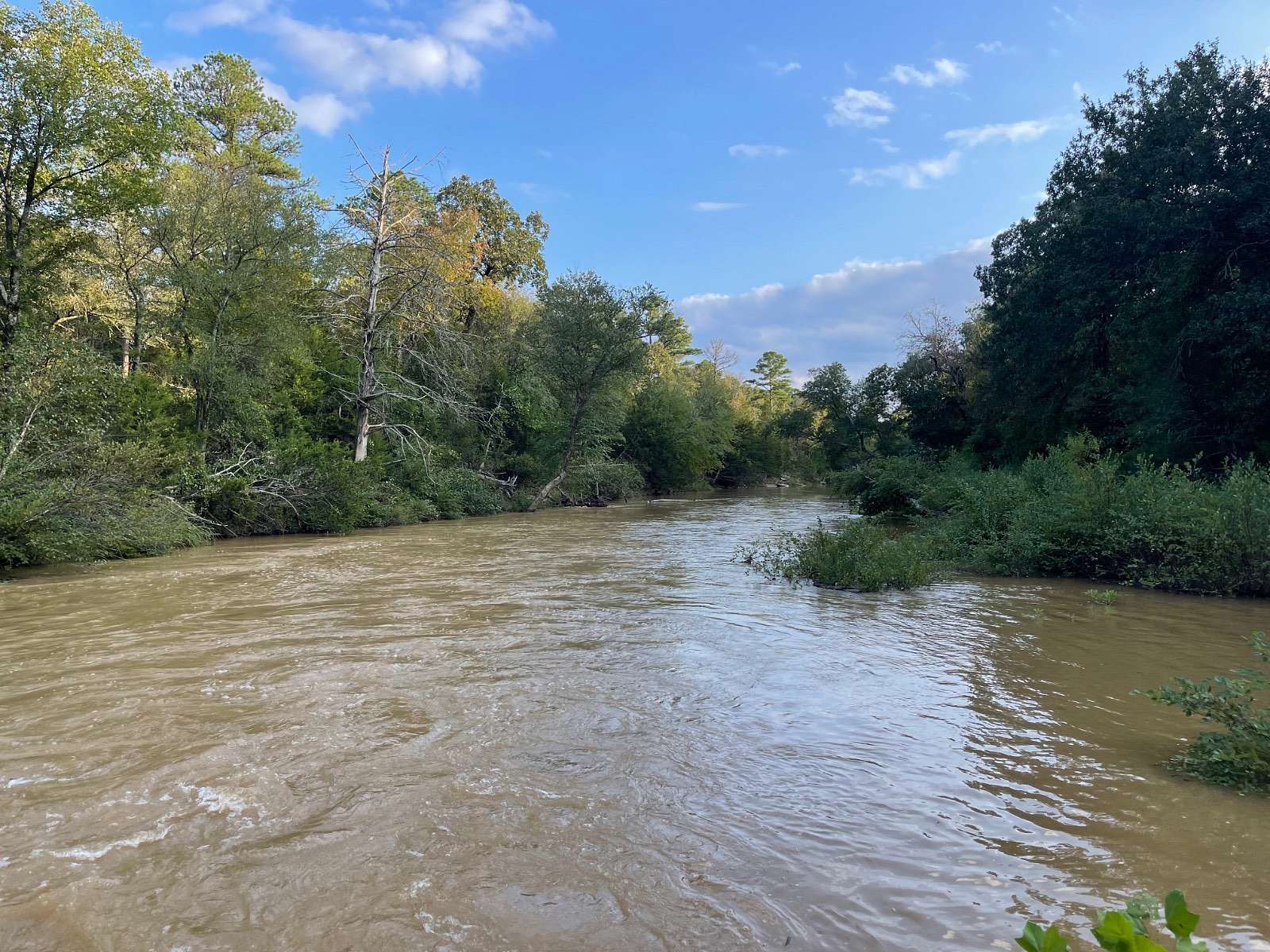 16 Acres of Recreational Land for Sale in Moyers, Oklahoma