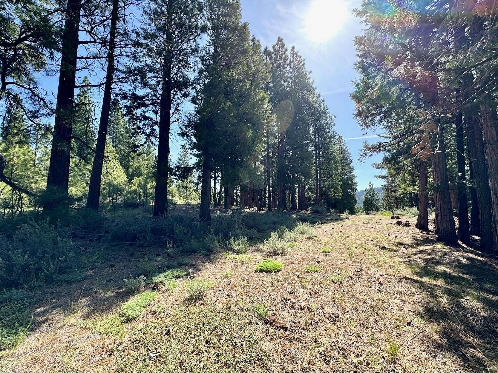 1.73 Acres of Land for Sale in Clio, California