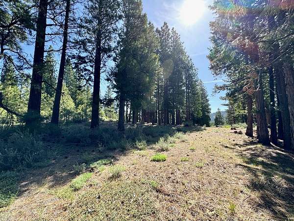 1.73 Acres of Residential Land for Sale in Clio, California