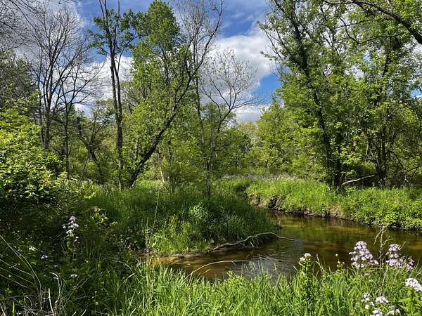 11.6 Acres of Recreational Land for Sale in Saranac, Michigan