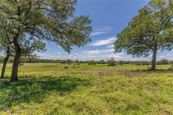60.5 Acres of Land for Sale in New Ulm, Texas