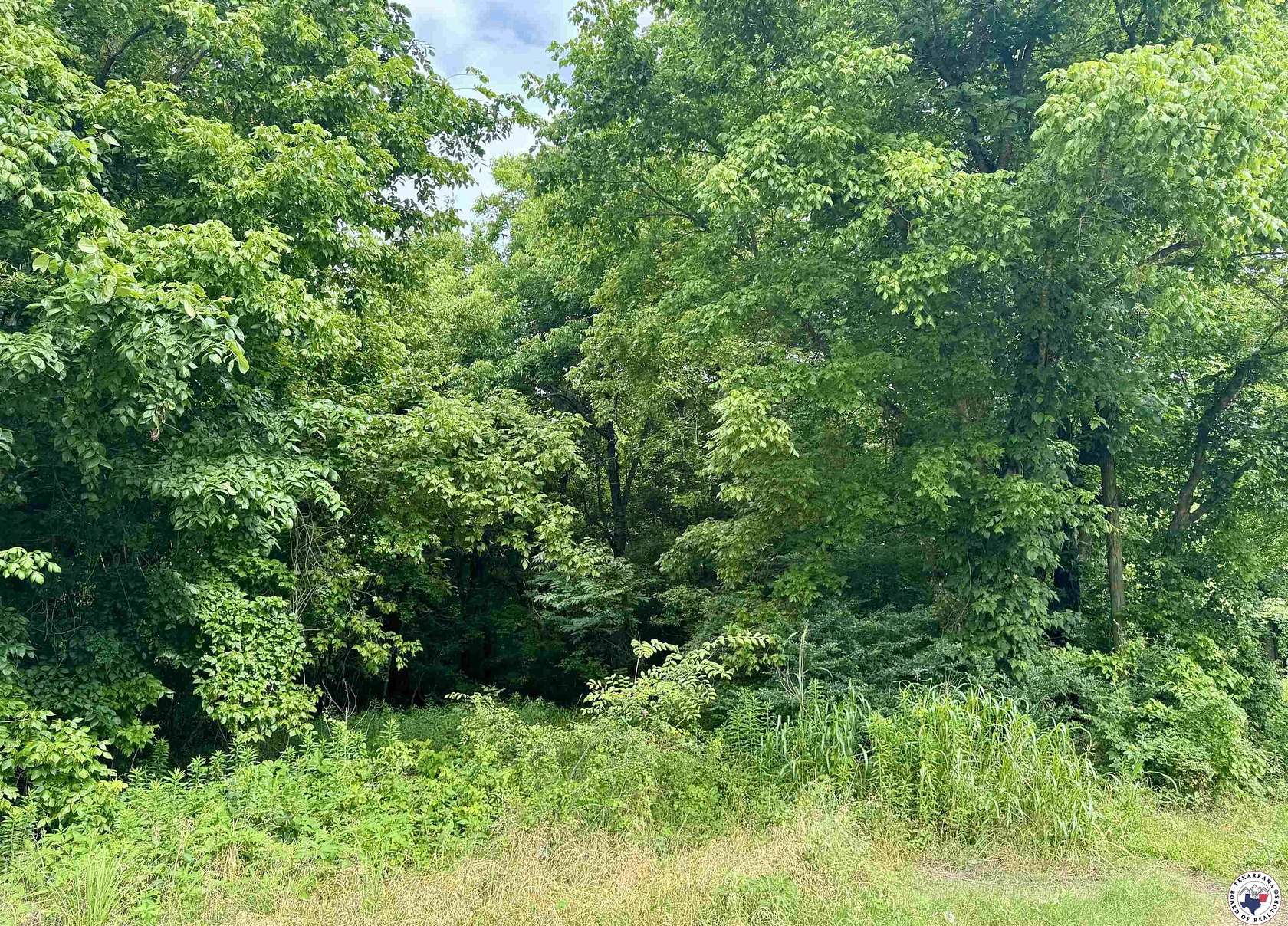 2 Acres of Mixed-Use Land for Sale in Texarkana, Texas