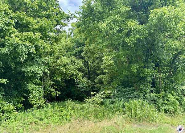 2 Acres of Mixed-Use Land for Sale in Texarkana, Texas