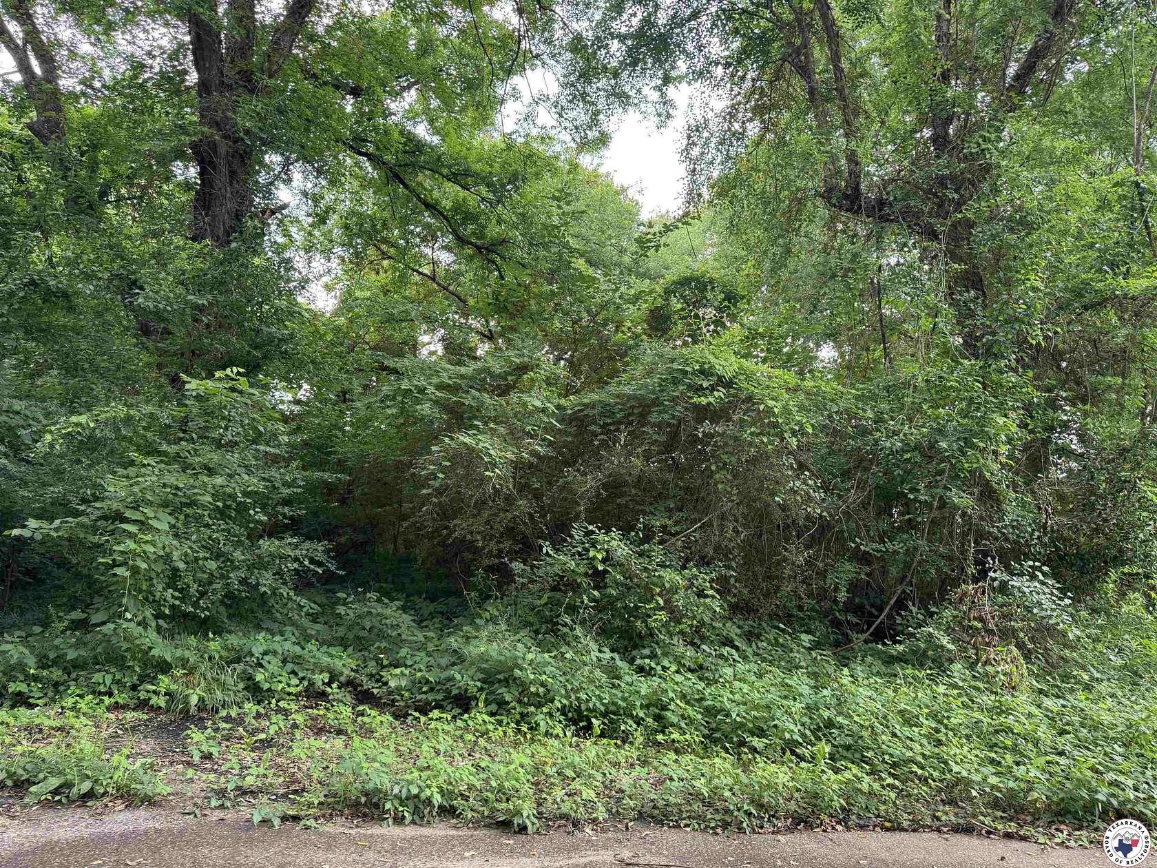 0.26 Acres of Mixed-Use Land for Sale in Texarkana, Texas