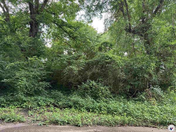 0.26 Acres of Mixed-Use Land for Sale in Texarkana, Texas