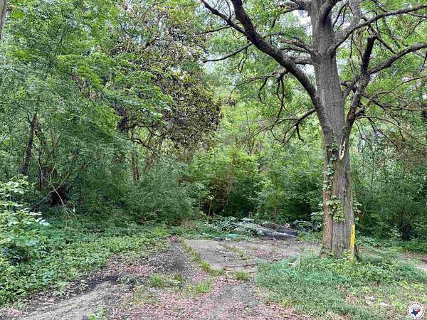 0.19 Acres of Mixed-Use Land for Sale in Texarkana, Texas