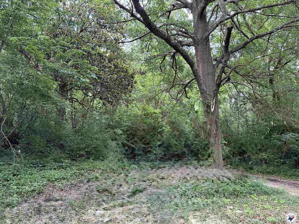 0.21 Acres of Commercial Land for Sale in Texarkana, Texas