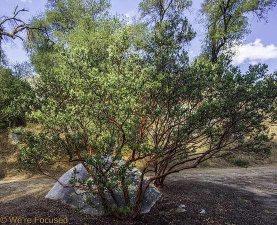 Residential Land for Sale in Banning, California