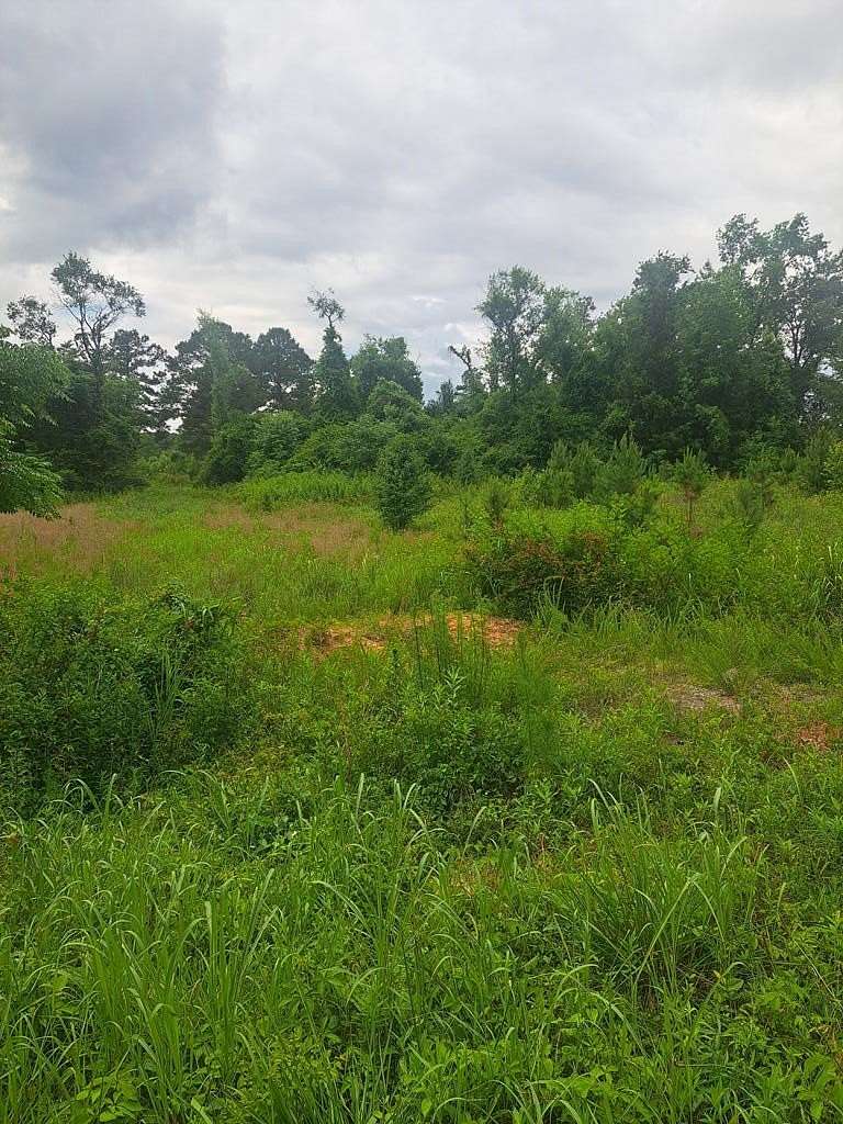 18.8 Acres of Land for Sale in McBee, South Carolina