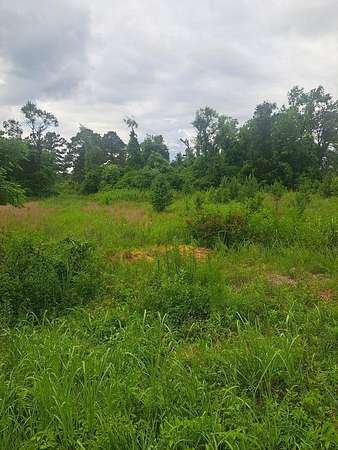 18.8 Acres of Land for Sale in McBee, South Carolina