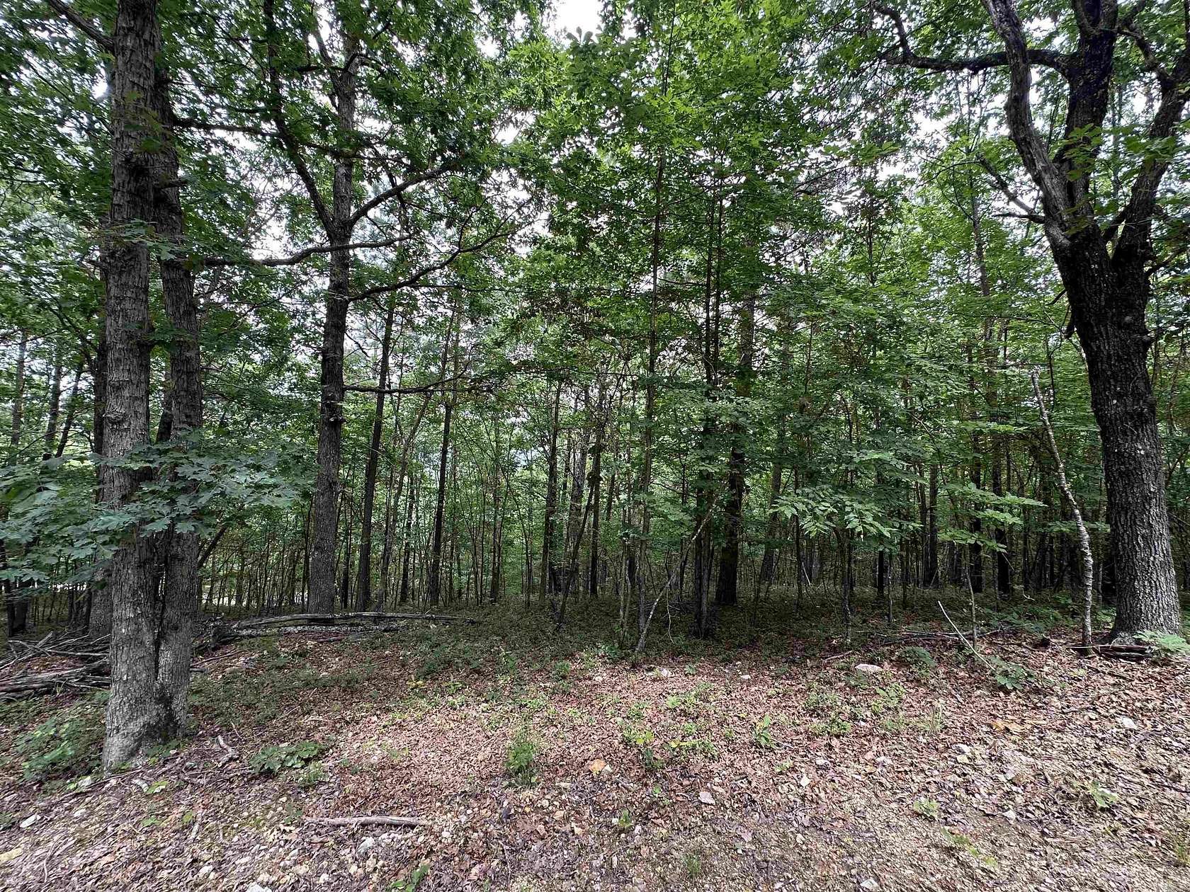 20 Acres of Recreational Land for Sale in Mena, Arkansas