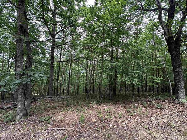 20 Acres of Recreational Land for Sale in Mena, Arkansas