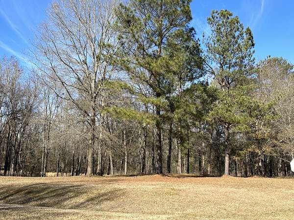 7 Acres of Land for Sale in Waynesboro, Georgia