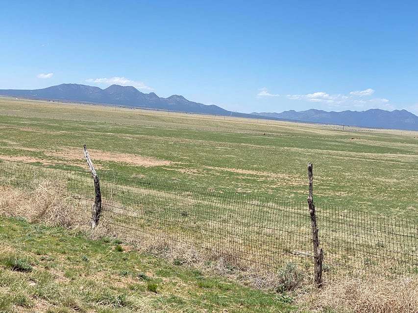 40 Acres of Land for Sale in Stanley, New Mexico