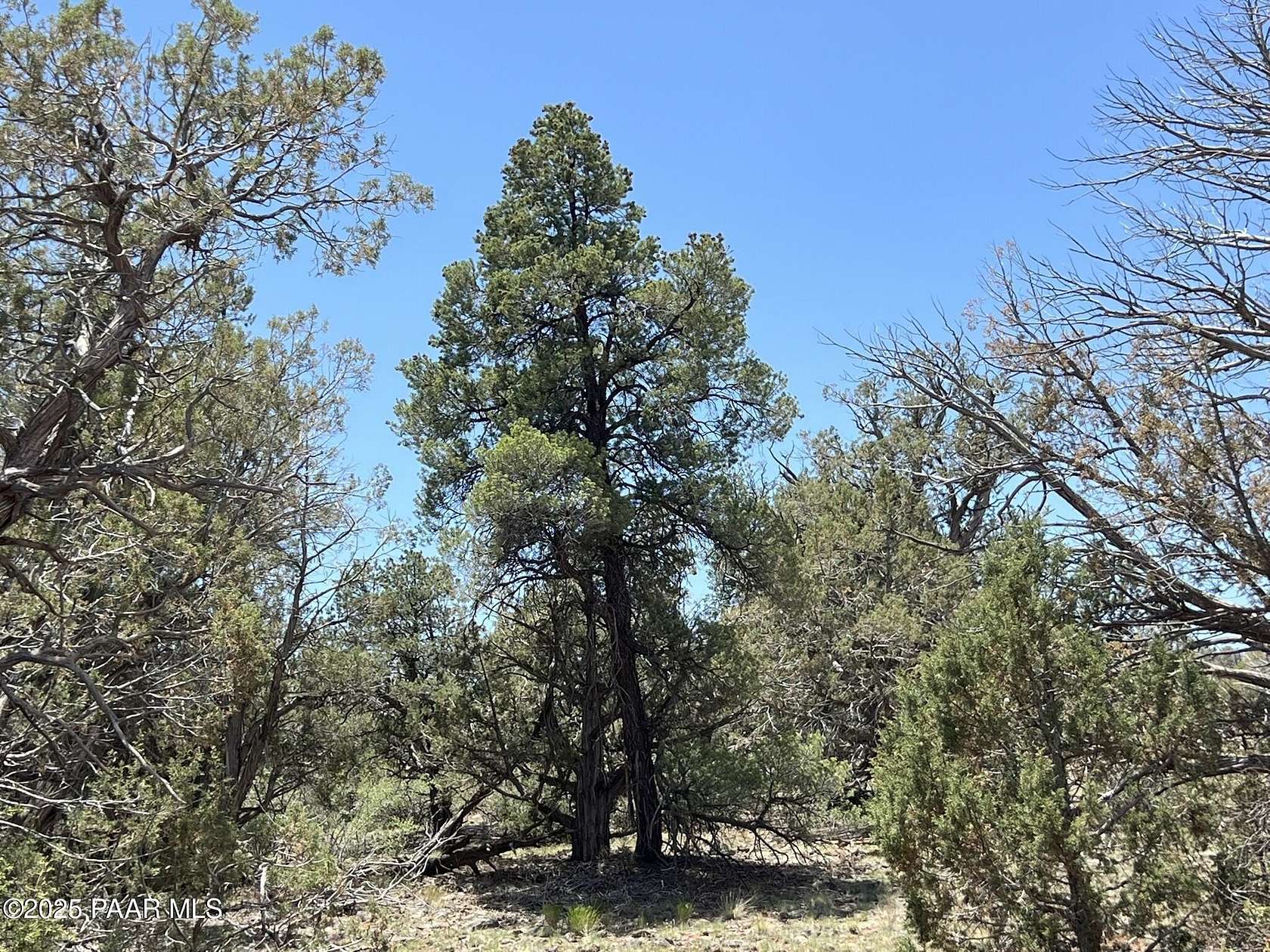 10 Acres of Land for Sale in Ash Fork, Arizona