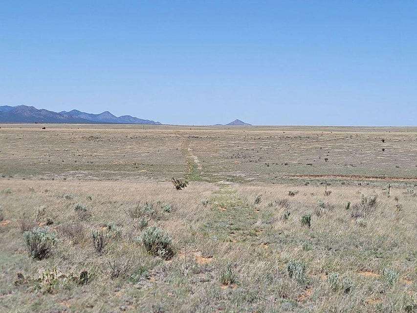 40 Acres of Land for Sale in Stanley, New Mexico