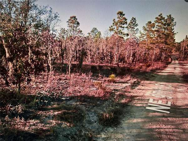 1.25 Acres of Residential Land for Sale in Bronson, Florida