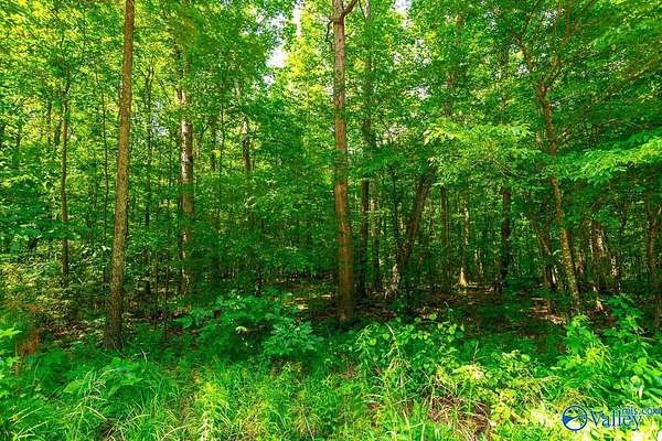 20 Acres of Recreational Land for Sale in Hazel Green, Alabama