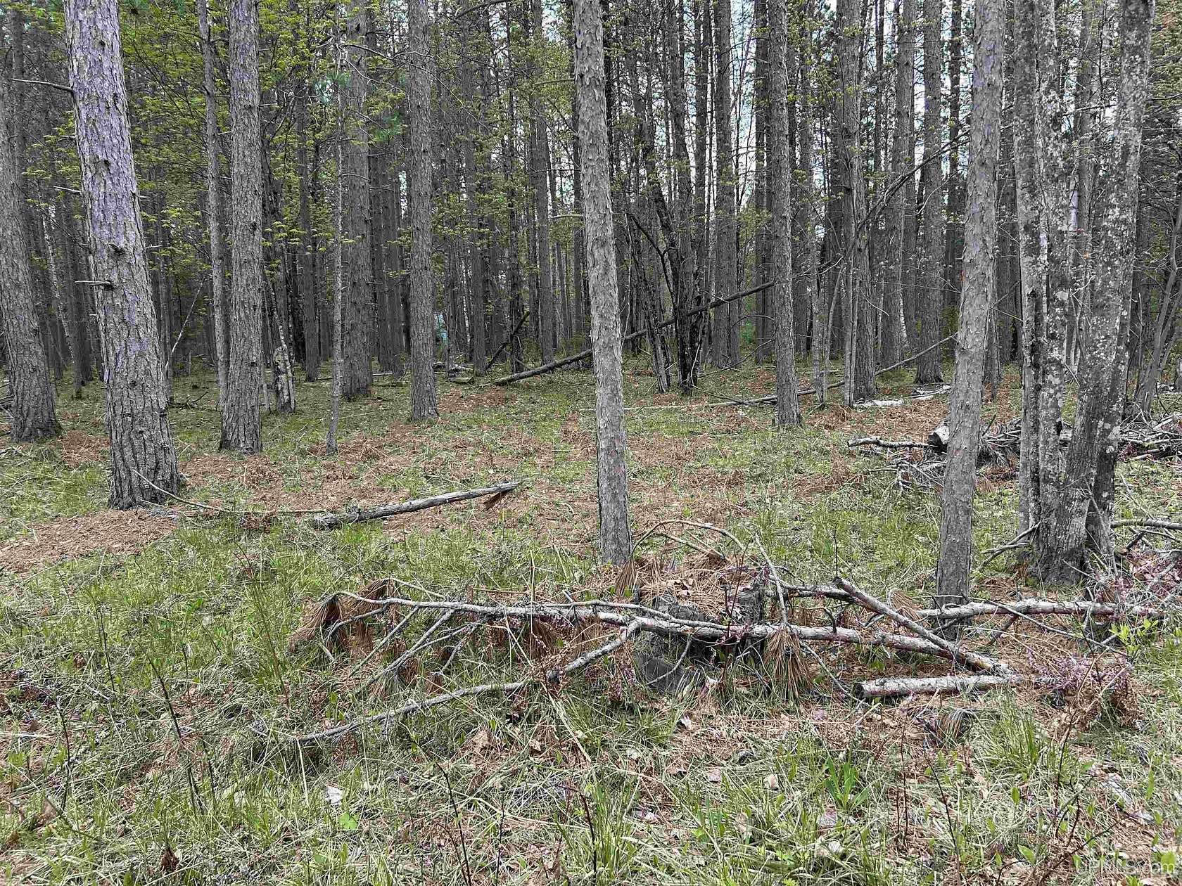 2.6 Acres of Residential Land for Sale in Crystal Falls, Michigan