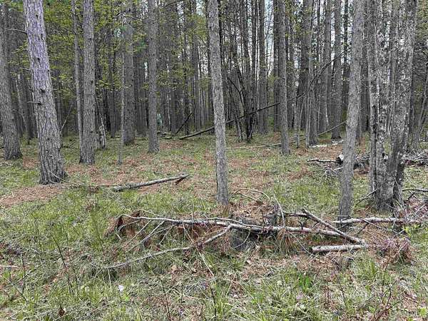 2.6 Acres of Residential Land for Sale in Crystal Falls, Michigan