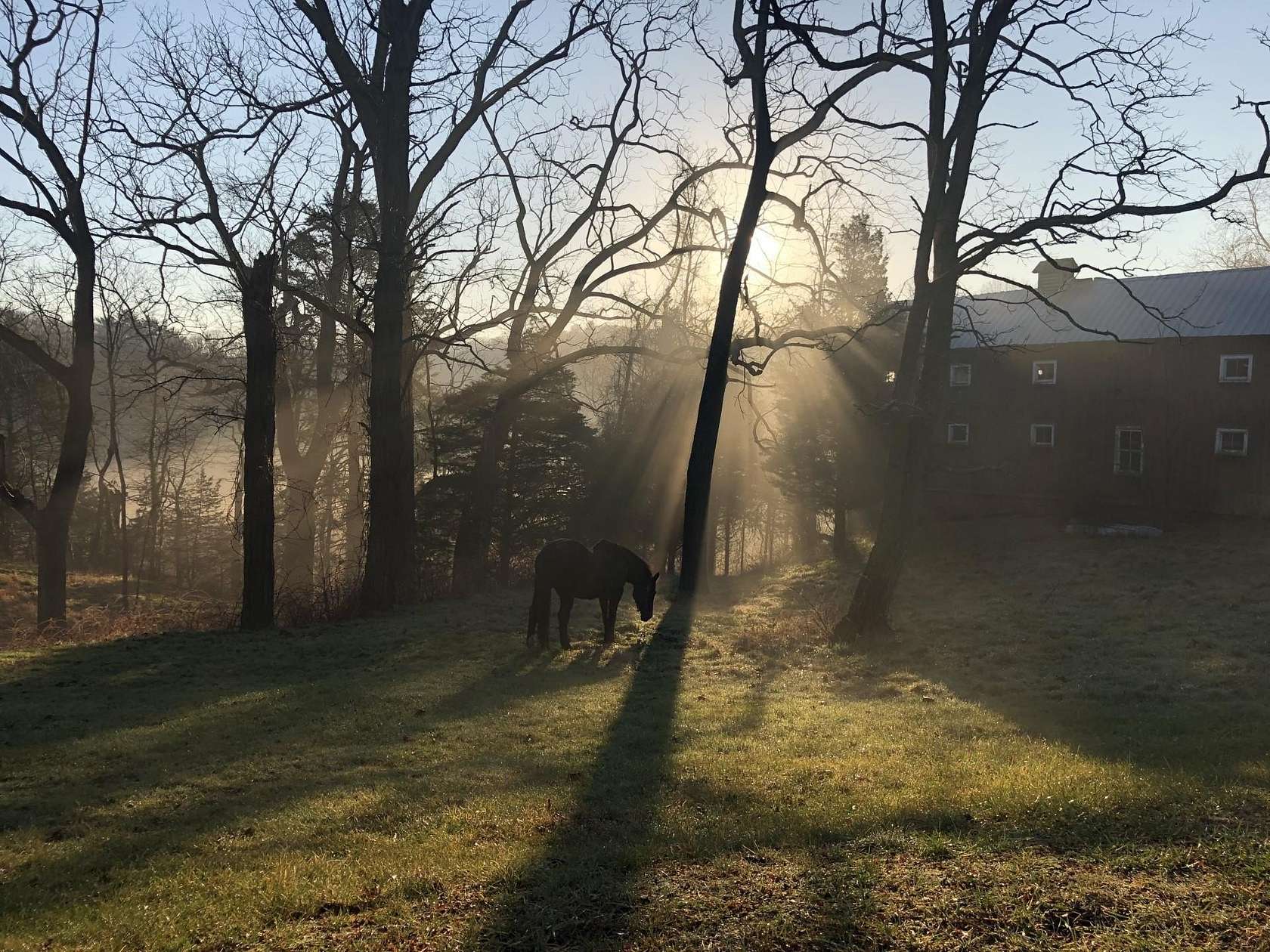 23 Acres of Agricultural Land with Home for Sale in Smithtown, New York